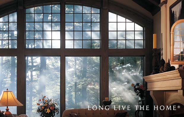 Window